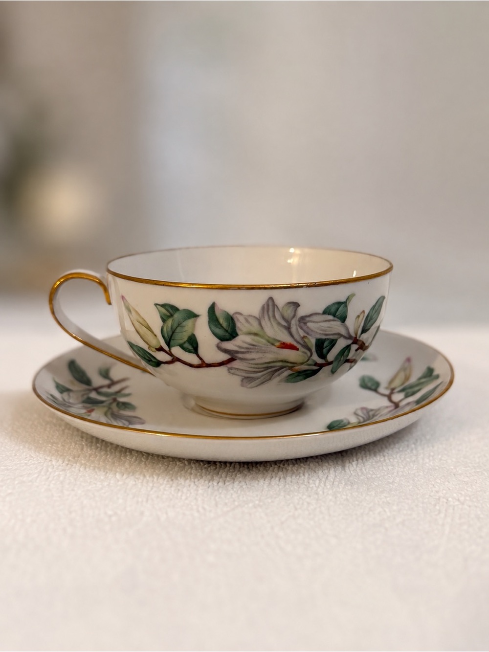Vintage Contour Treasure White Magnolia Teacup & Saucer Japan